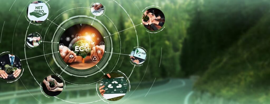 Digital Ecosystems